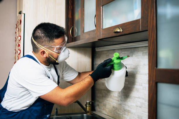 Best Emergency Pest Control  in New Ellenton, SC