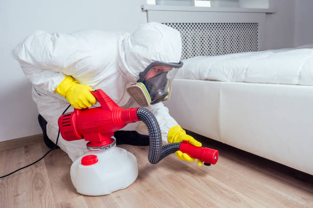 Best Local Pest Control Services  in New Ellenton, SC