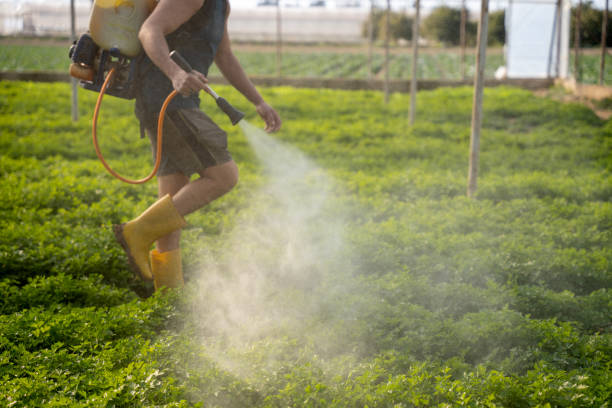 Best Insect Control  in New Ellenton, SC