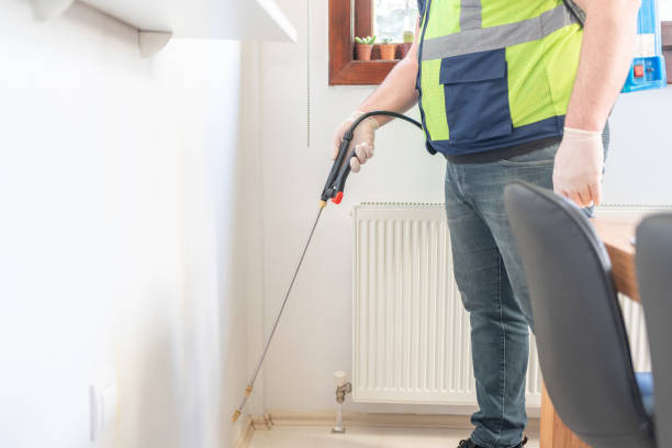Best Rat Extermination Near Me  in New Ellenton, SC