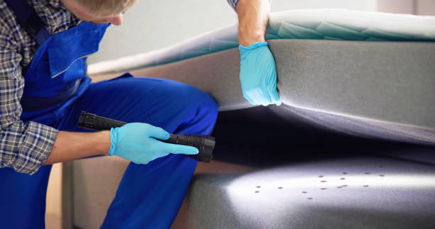 Trusted New Ellenton, SC Pest Control Experts