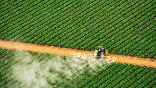 Best Best Pest Control Companies  in New Ellenton, SC