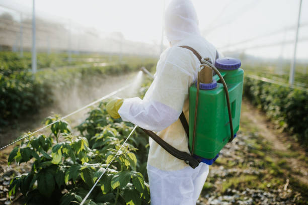 Best Flea Control Services  in New Ellenton, SC